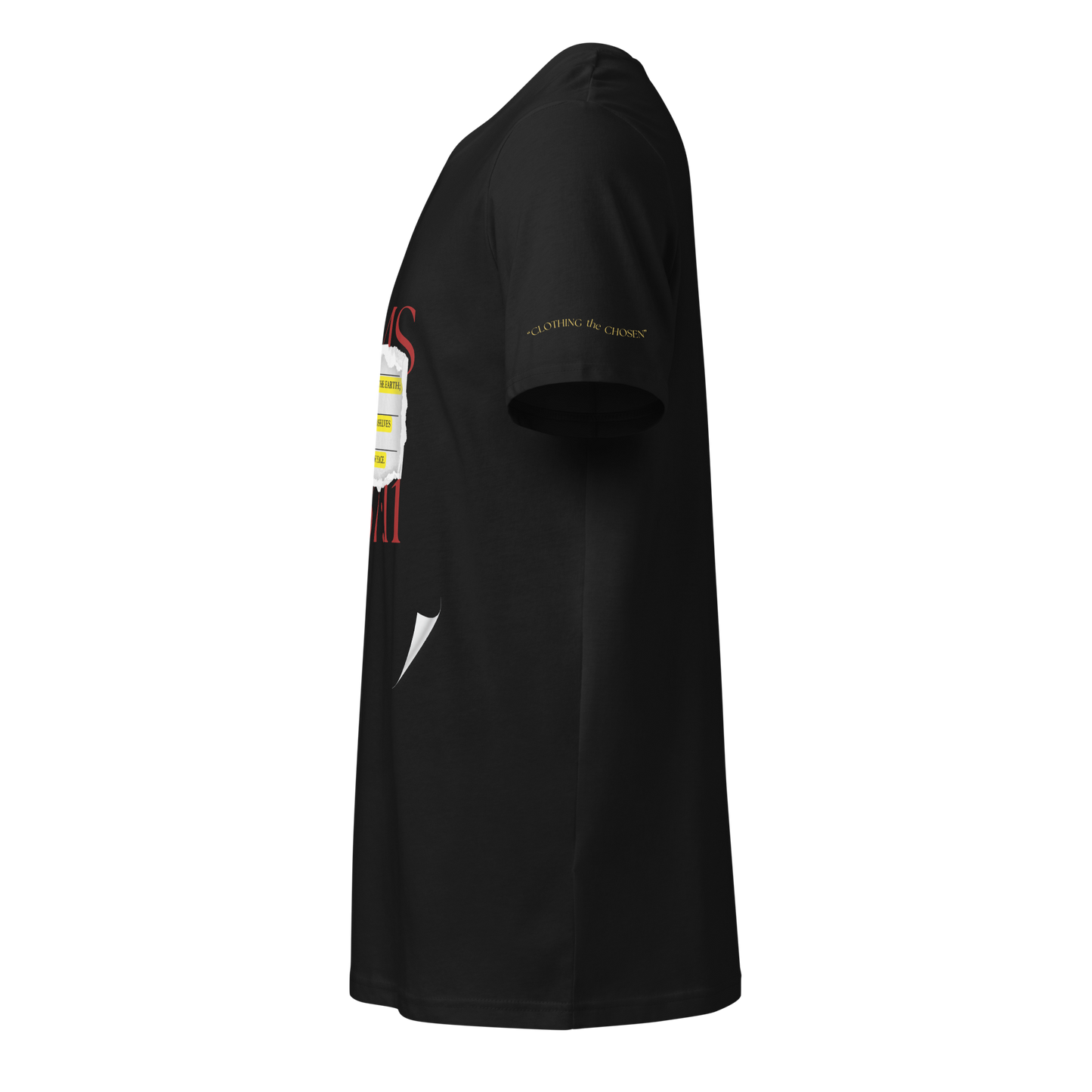 Psalms 37:11 (Lost Pages)