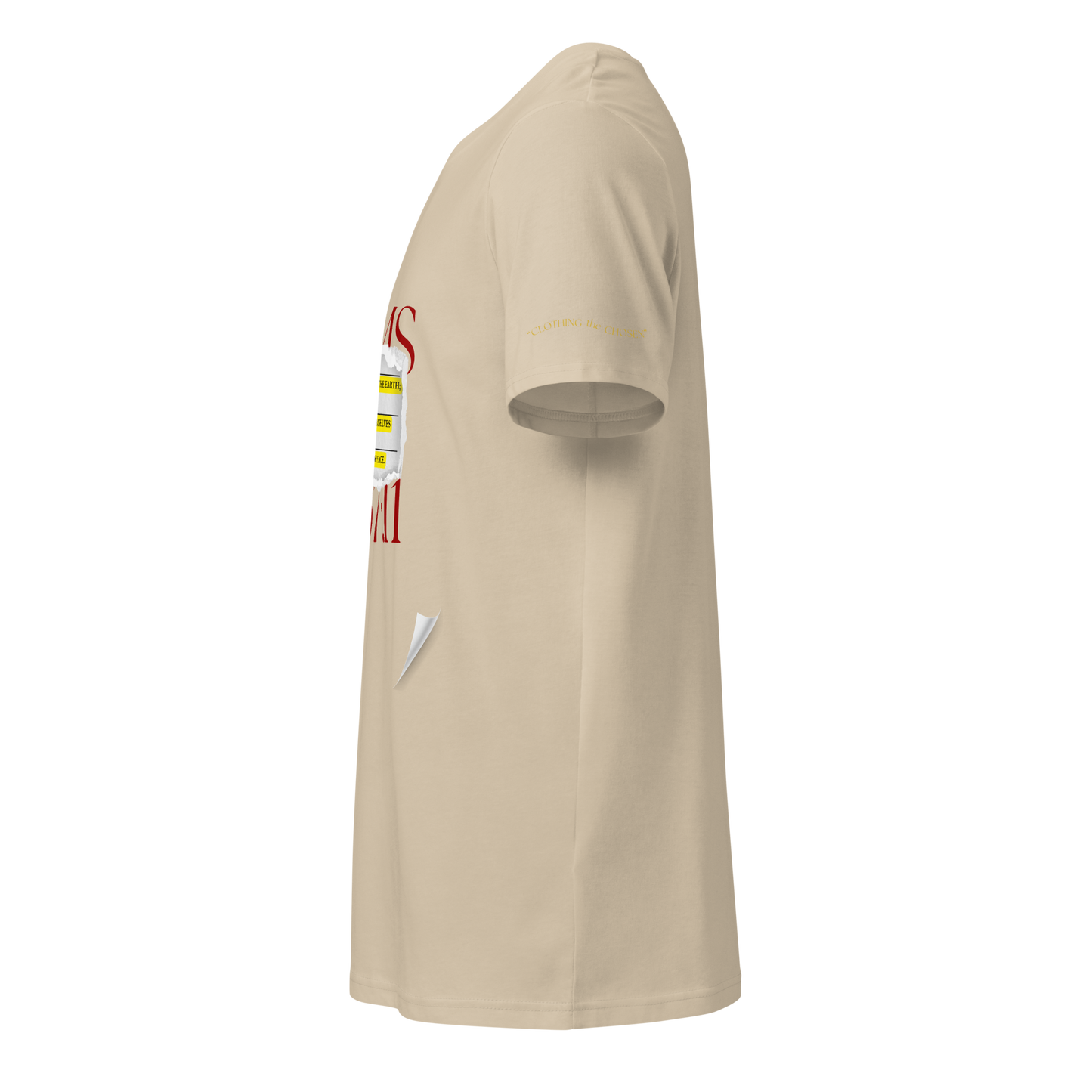 Psalms 37:11 (Lost Pages)