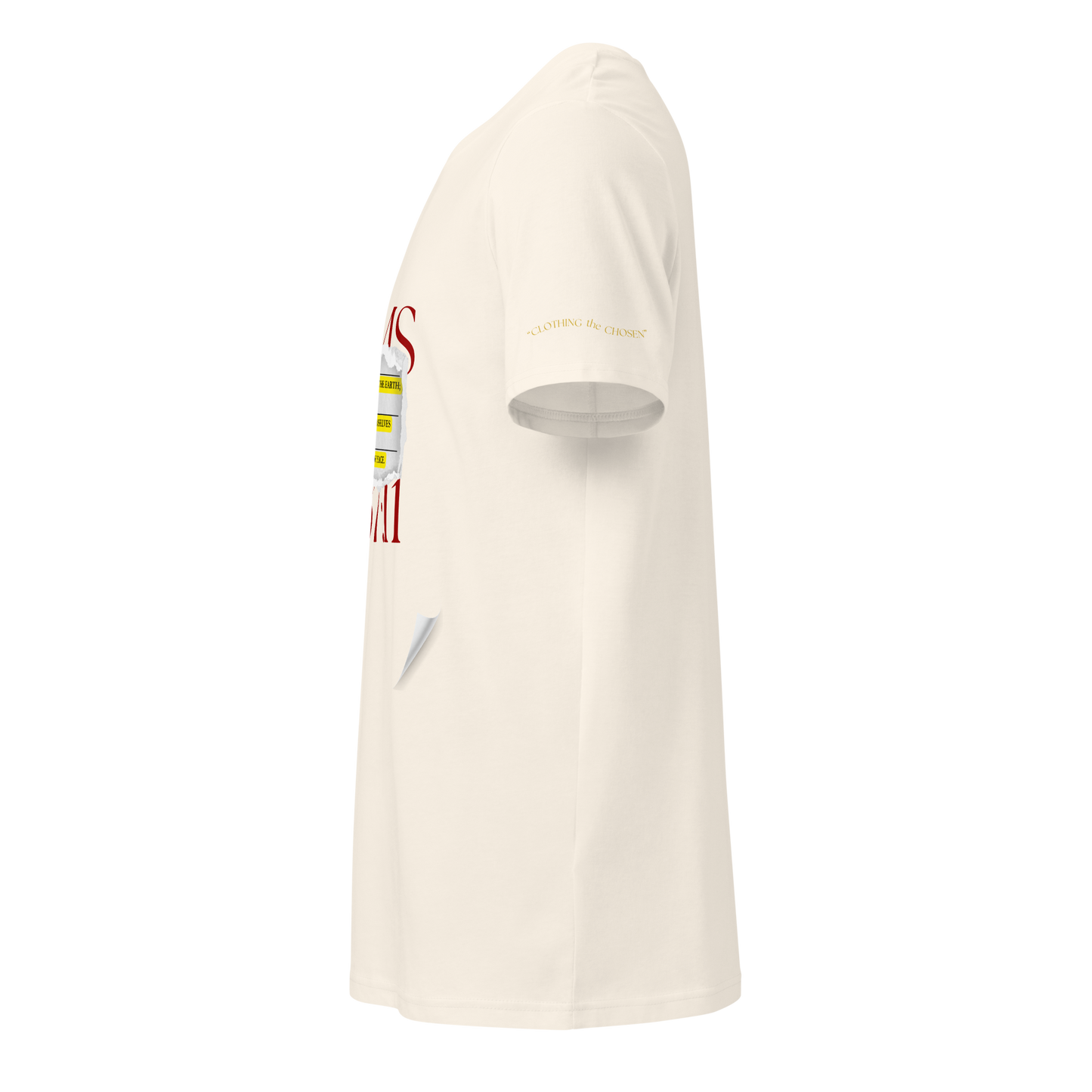 Psalms 37:11 (Lost Pages)