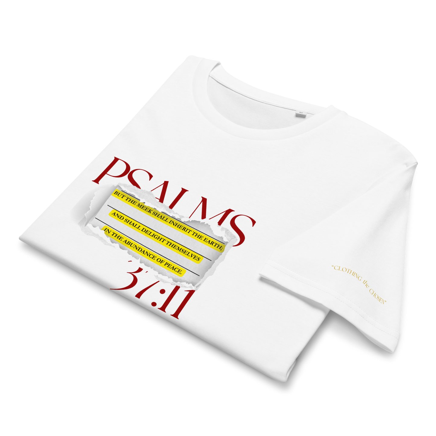 Psalms 37:11 (Lost Pages)