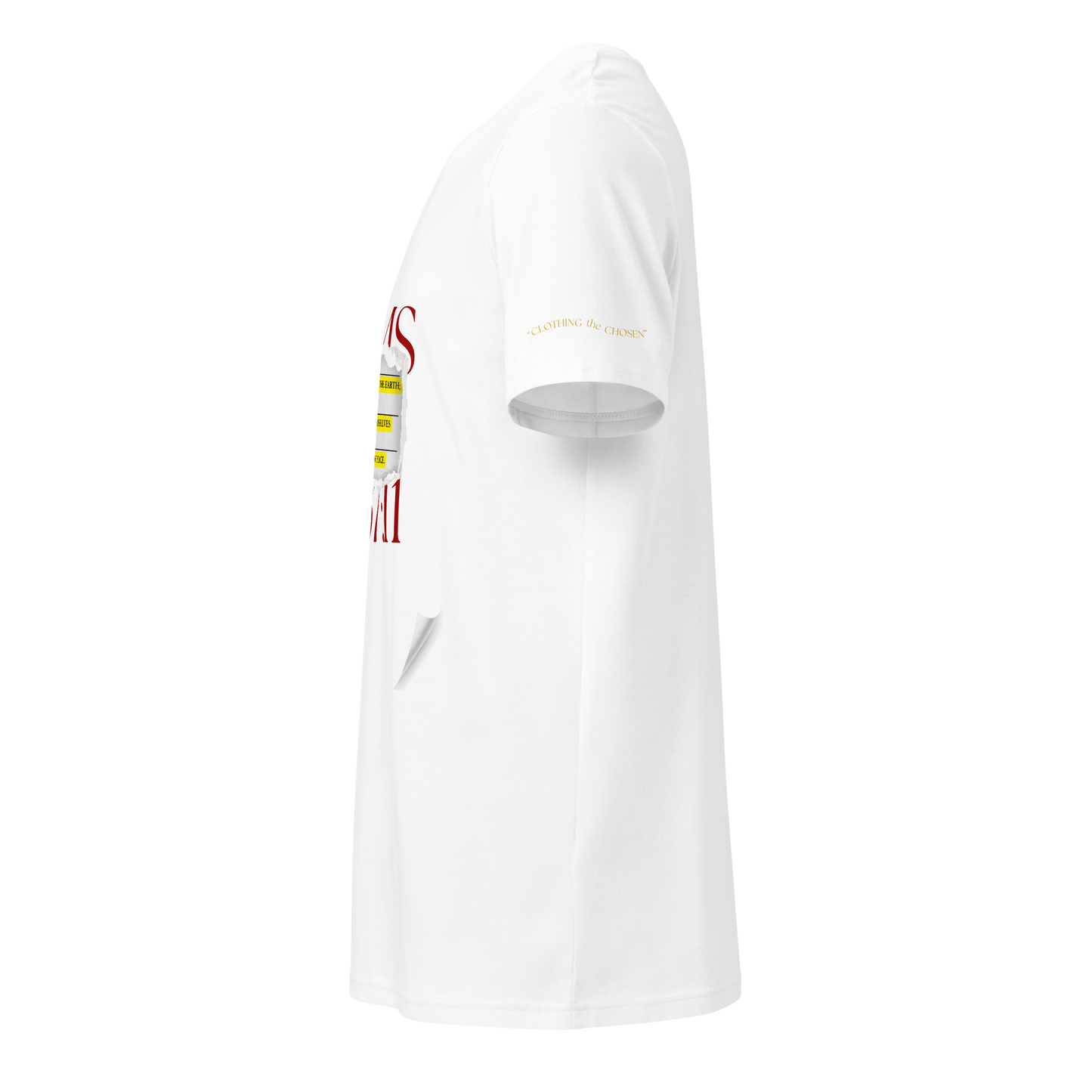 Psalms 37:11 (Lost Pages)